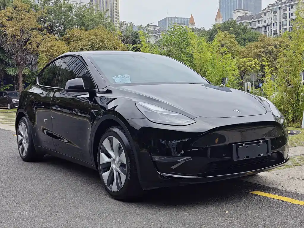 Model Y 2021 standard range rear-wheel drive version купить на сайте DeffCars