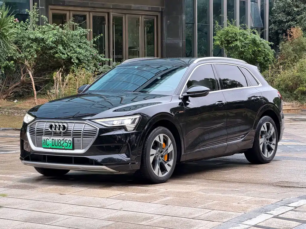 Audi e-tron imported 2019 55 quattro technical model купить на сайте DeffCars