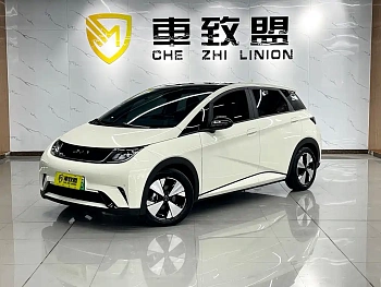 Dolphin 2023 model 420km fashion version купить по цене 1 983 742 ₽  на сайте DeffCars