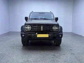 Tank 300 2021 Off-Road Version 2.0T Conqueror купить на сайте DeffCars