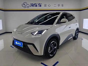 Seagull 2023 Flying Edition купить по цене 1 803 355 ₽  на сайте DeffCars