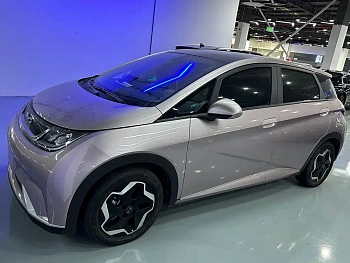 Dolphin 2023 model 420km fashion version купить по цене 1 799 039 ₽  на сайте DeffCars