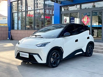 Seagull 2023 Free Edition Seagull 2023 Free Edition купить по цене 1 716 478 ₽  на сайте DeffCars