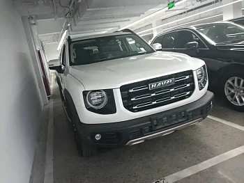 Haval Big Dog 2021 1.5T DCT Two-wheel drive Horse Dog Edition купить по цене 1 846 168 ₽  на сайте DeffCars