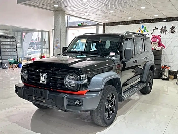 Tank 300 2021 Off-Road Version 2.0T Conqueror купить на сайте DeffCars