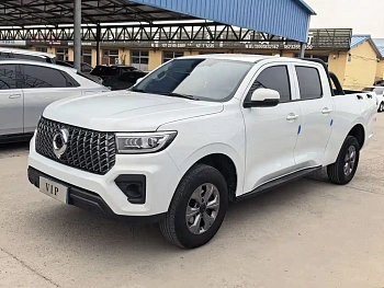 Cannon 2024 2.4T commercial version automatic diesel four-wheel drive elite type купить на сайте DeffCars