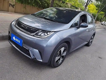 Dolphin 2023 model 420km fashion version купить по цене 1 859 229 ₽  на сайте DeffCars