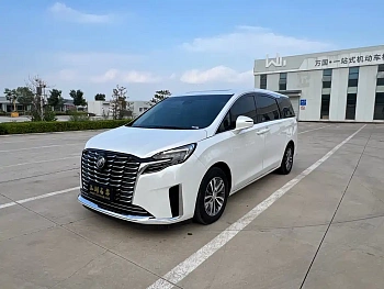 Buick GL8 2023 ES Luzun Exclusive Happy Edition купить по цене 5 539 336 ₽  на сайте DeffCars