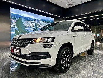 Korok 2024 TSI280 Exclusive Edition купить на сайте DeffCars