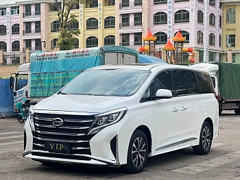 Trumpchi M8 2021 Lead Show Series 390T Exclusive Edition купить на сайте DeffCars