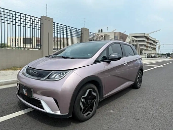 Dolphin 2021 model 405km fashion version купить по цене 1 849 384 ₽  на сайте DeffCars