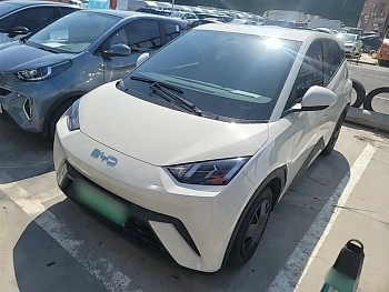 Seagull 2025 305km active version купить на сайте DeffCars