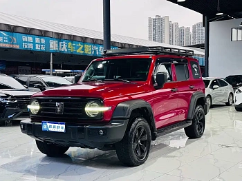 Tank 300 2021 Off-Road Version 2.0T Conqueror купить на сайте DeffCars