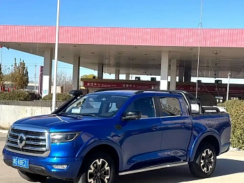 Cannon 2021 2.0T passenger global version automatic gasoline four-wheel drive exclusive standard box GW4C20B купить на сайте DeffCars