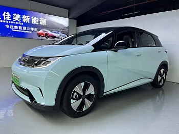 Dolphin 2023 model 420km fashion version купить по цене 1 892 668 ₽  на сайте DeffCars