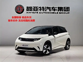 Dolphin 2023 model 420km fashion version купить по цене 1 959 545 ₽  на сайте DeffCars