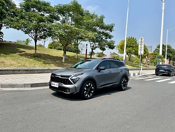 Lion Platinum expands the world 2023 2.0T two-wheel drive flagship version купить на сайте DeffCars