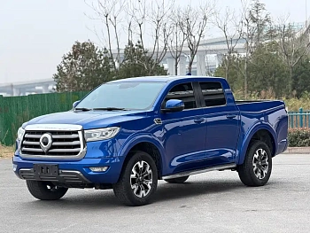 Cannon 2021 2.0T Passenger Global Version Automatic Diesel Two-wheel Drive Comfort Standard Box GW4D20M купить на сайте DeffCars