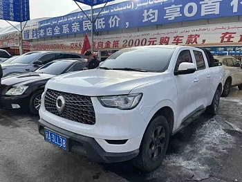 Cannon 2021 2.0T commercial version manual diesel four-wheel drive elite long box GW4D20M купить на сайте DeffCars