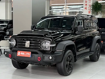 Tank 300 2021 Off-Road Version 2.0T Conqueror купить на сайте DeffCars