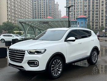 Haval H6 2020 1.5GDIT Automatic Platinum Champion Edition купить по цене 1 761 972 ₽  на сайте DeffCars