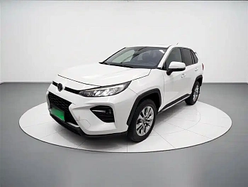 Wilanda 2020 2.0L CVT two-wheel drive luxury version купить на сайте DeffCars