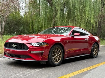 Mustang 2021 2.3T EcoBoost купить на сайте DeffCars