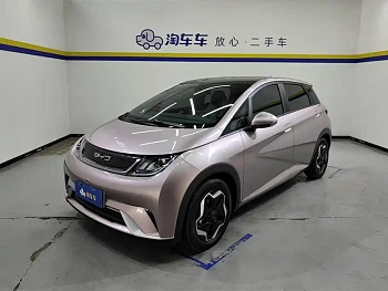 Dolphin 2021 model 405km fashion version купить по цене 1 799 544 ₽  на сайте DeffCars