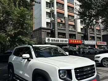 Haval Big Dog 2022 2.0T DCT four-wheel drive Chinese pastoral dog version купить по цене 2 130 366 ₽  на сайте DeffCars