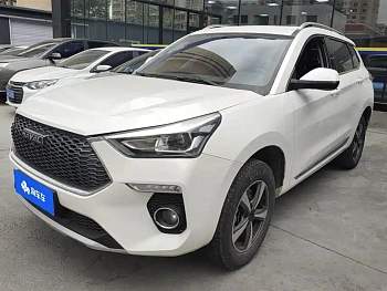 Haval H6 Coupe 2019 1.5T Automatic Two-wheel Drive Elite Model Guo VI купить по цене 1 771 311 ₽  на сайте DeffCars