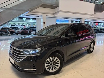 Weiran 2023 330TSI Business Edition купить на сайте DeffCars