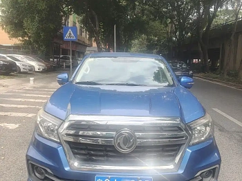 Ruiqi 2019 2.4L gasoline country VI two-wheel drive luxury standard box 2TZD купить на сайте DeffCars