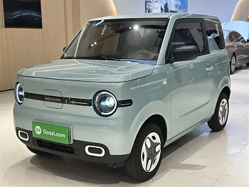 Panda 2025 Panda mini 210km Yuanqi Bear купить на сайте DeffCars