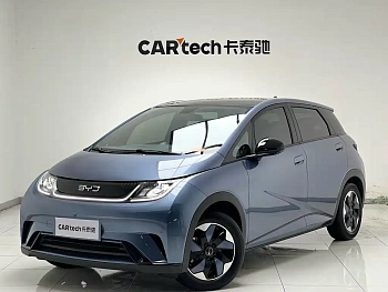 Dolphin 2025 model 420km fashion version купить по цене 2 169 327 ₽  на сайте DeffCars