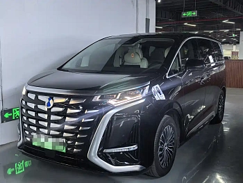 Denza D9 2024 DM-i 1050 Exclusive Type купить на сайте DeffCars