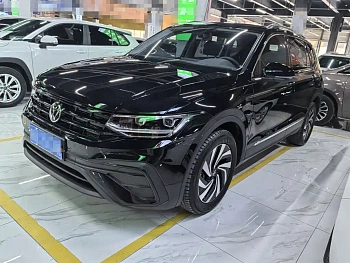 Tiguan L 2024 Outstanding Model 300TSI Automatic Two-wheel Drive Dragon Edition купить на сайте DeffCars