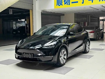 Model Y 2021 standard range rear-wheel drive version купить на сайте DeffCars