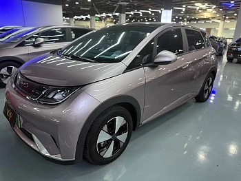 Dolphin 2023 model 420km fashion version купить по цене 1 847 525 ₽  на сайте DeffCars