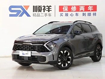Lion Platinum Extension 2023 2.0T two-wheel drive premium version купить на сайте DeffCars