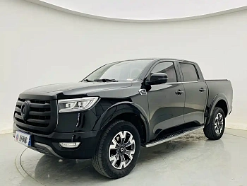 Cannon 2021 2.0T passenger global version automatic diesel four-wheel drive comfort standard box trailer version GW4D20M купить на сайте DeffCars