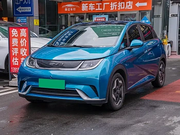 Dolphin 2021 model 405km fashion version купить по цене 1 882 611 ₽  на сайте DeffCars