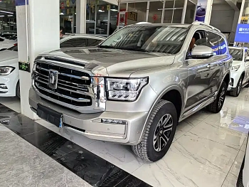 Tank 500 2022 model 3.0T sports version, environment type, 5 seats купить на сайте DeffCars