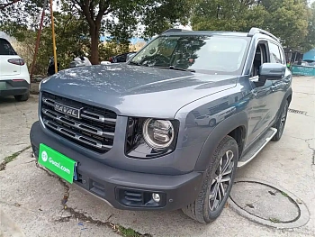 Havaldog 2021 1.5T DCT two-wheel drive horse dog-Wangcai version купить на сайте DeffCars
