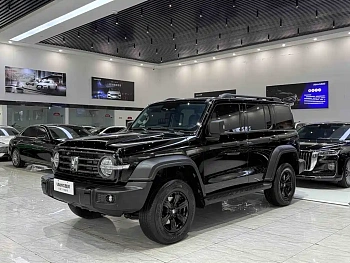 Tank 300 2023 Off-Road Version 2.0T Conqueror купить на сайте DeffCars