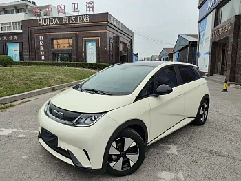 Dolphin 2023 model 420km fashion version купить по цене 1 845 853 ₽  на сайте DeffCars