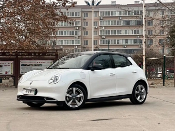 Euler Good Cat 2022 model 400km standard battery life luxury model lithium iron phosphate купить на сайте DeffCars