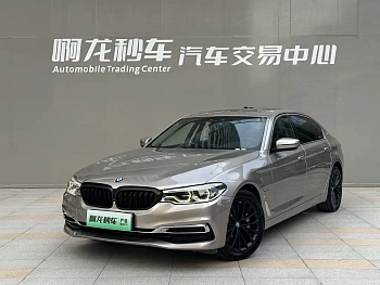 BMW 5 Series New Energy 2019 Model 530Le Luxury Package купить на сайте DeffCars