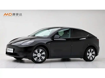 TeslaModel Y/22/modified rear-wheel drive version купить на сайте DeffCars