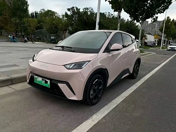 Seagull 2024 Honor Edition 405km Flying Edition купить по цене 1 849 384 ₽  на сайте DeffCars