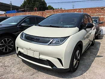 Dolphin 2023 model 420km fashion version купить по цене 1 983 742 ₽  на сайте DeffCars